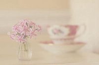 ​史上最酷的性签名120句