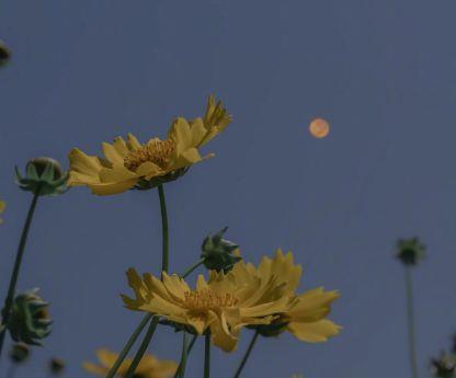 上班下雨的个性签名