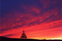 ​2025高考倒计时50天誓词