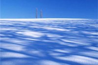 ​整人的笑话86句