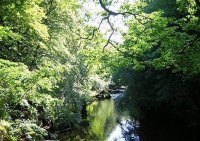 ​志向的警句66句