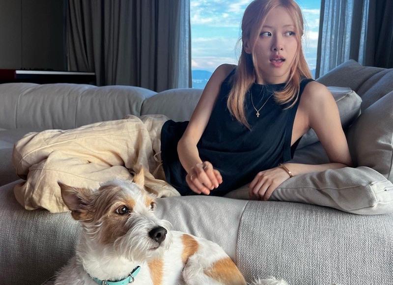 简短爱情暖心语录