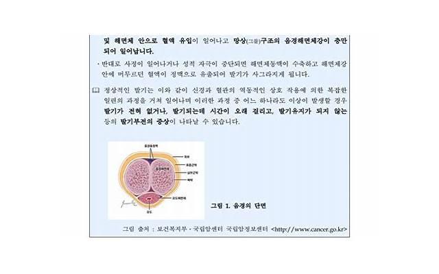 礼记经典语录(礼记经典语录摘抄)