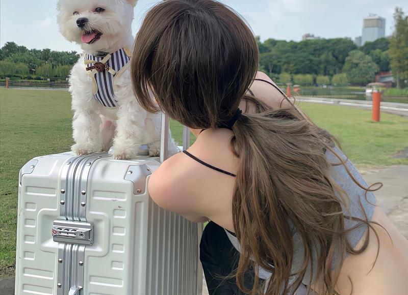  情感语录丨不是因为寂寞才喜欢你，而是因为遇见你后，寂寞不再。