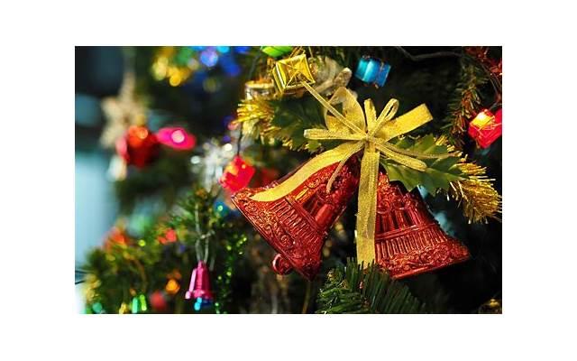 2025年的表白语（2025有关表白的肉麻情话）