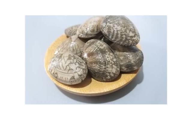 土味情话你是什么我是什么 土味情话你是什么我是什么