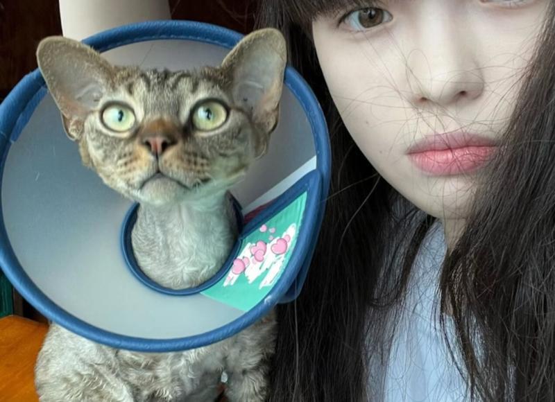 和女生聊天的经典情话( 老师、她亲硪提供) 和女生聊天的经典情话( 老师、她亲硪提供)