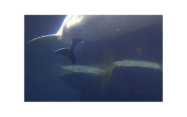 木头门是什么做的土味情话 木头门是什么做的土味情话