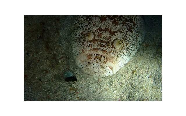 表示友谊的名句并写出作者(表示友谊的名句并写出作者的心情) 表示友谊的名句并写出作者(表示友谊的名句并写出作者的心情)