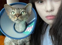 ​早安撩人情话，早安撩人情话让男人心动