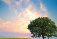 ​有关刚好遇见你的句子 相遇很好的唯美句子77句