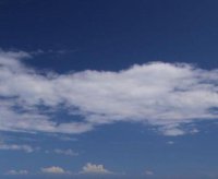 ​感悟人生的心情句子