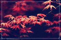 ​万圣节发朋友圈的短句子（适合万圣节朋友圈发的句子）