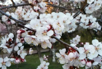 ​下班了回家路上发朋友圈句子(共105句)