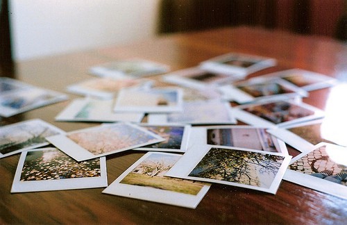 歌的经典句子86句