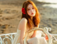 ​适合过年发的句子(精选62句)