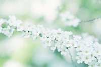 ​30岁生日经典朋友圈说说(97句)