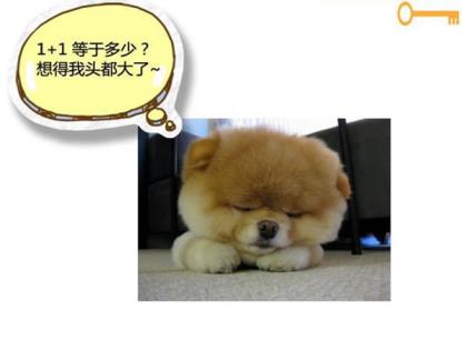 每天一句早安心语