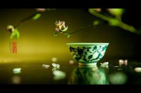 ​现实又很扎心的句子（看淡一切善待自己）