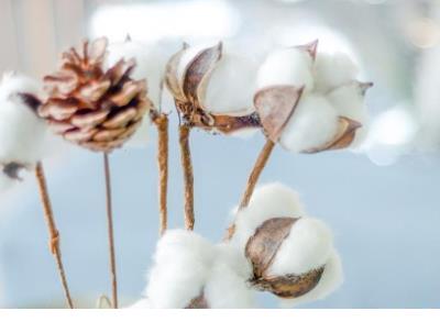 微信说说心情句子简短