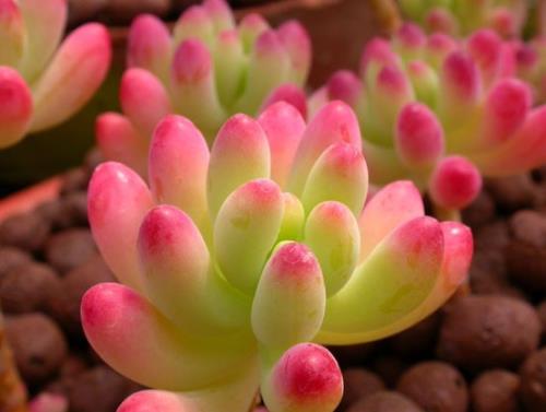 午休说说心情短句子