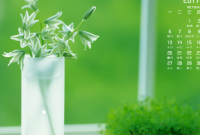 ​那些日子的非主流个性火星文签名说说大全精选