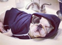 ​思念一个人的心情短语