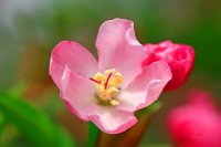 ​形容伤心欲绝的唯美句子，心情说说