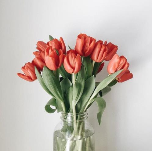 适合晚上发的说说励志