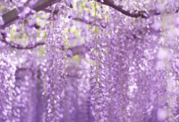 ​关于朋友圈说说的好句子冬天 冬天美好温暖的句子