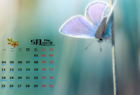 ​很甜很撩的句子说说（精选推荐）