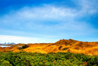 ​关于家里喜添新丁的说说 恭喜家里添丁的句子