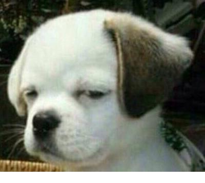 一句话精致早安