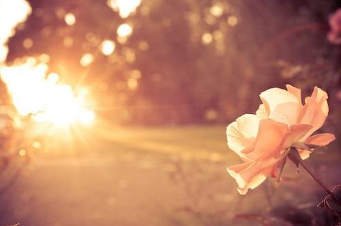 对老婆说的暖心话