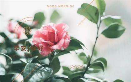 微信朋友圈说说心情短语