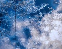 ​失眠句子心情说说大全(精选79句)