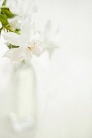 ​qq情感说说文字控[24句] (抖音说说短语文字控)