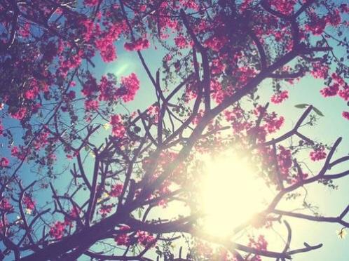 晚上一个人孤独的说说图片