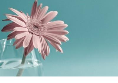 单身狗发的说说搞笑