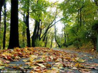 ​事事不顺心很烦的说说