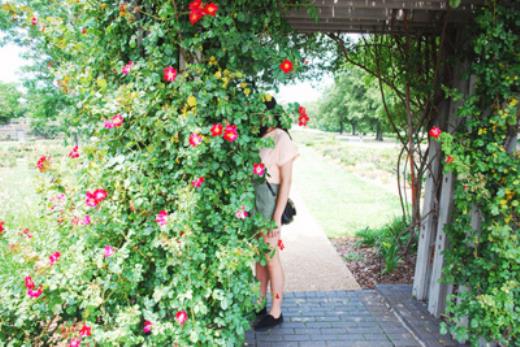 关于后悔的句子唯美短句