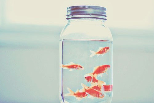 表达孩子调皮的句子说说心情(32句)