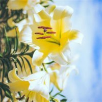 ​简短自己说说心情短语 qq微博心情说说