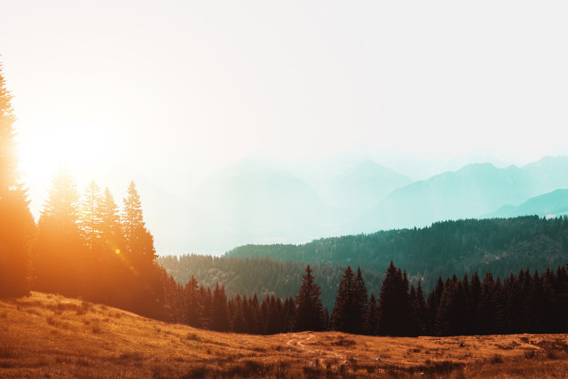 描写旅游好心情的优美句子 人生是一段漫长的旅程