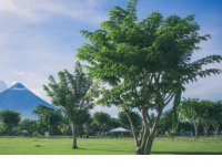 ​微信语录大全心情短语(回老家心情经典短语)