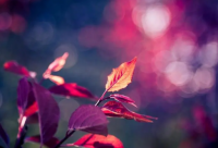 美甲文案朋友圈简短(精选84句)