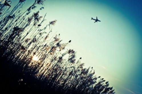 跑步朋友圈留言的句子