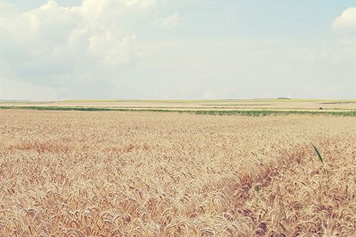 好好赚钱的说说 我要努力赚钱的句子(48句)