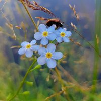 ​受欢迎的早安语录(句句有感而发说到心坎)