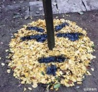 ​关于30岁的说说心情(关于德国队的心情说说)